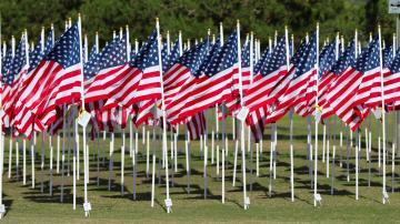 Multiple American Flags