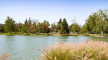 Lake at Yorba Linda Regional Park